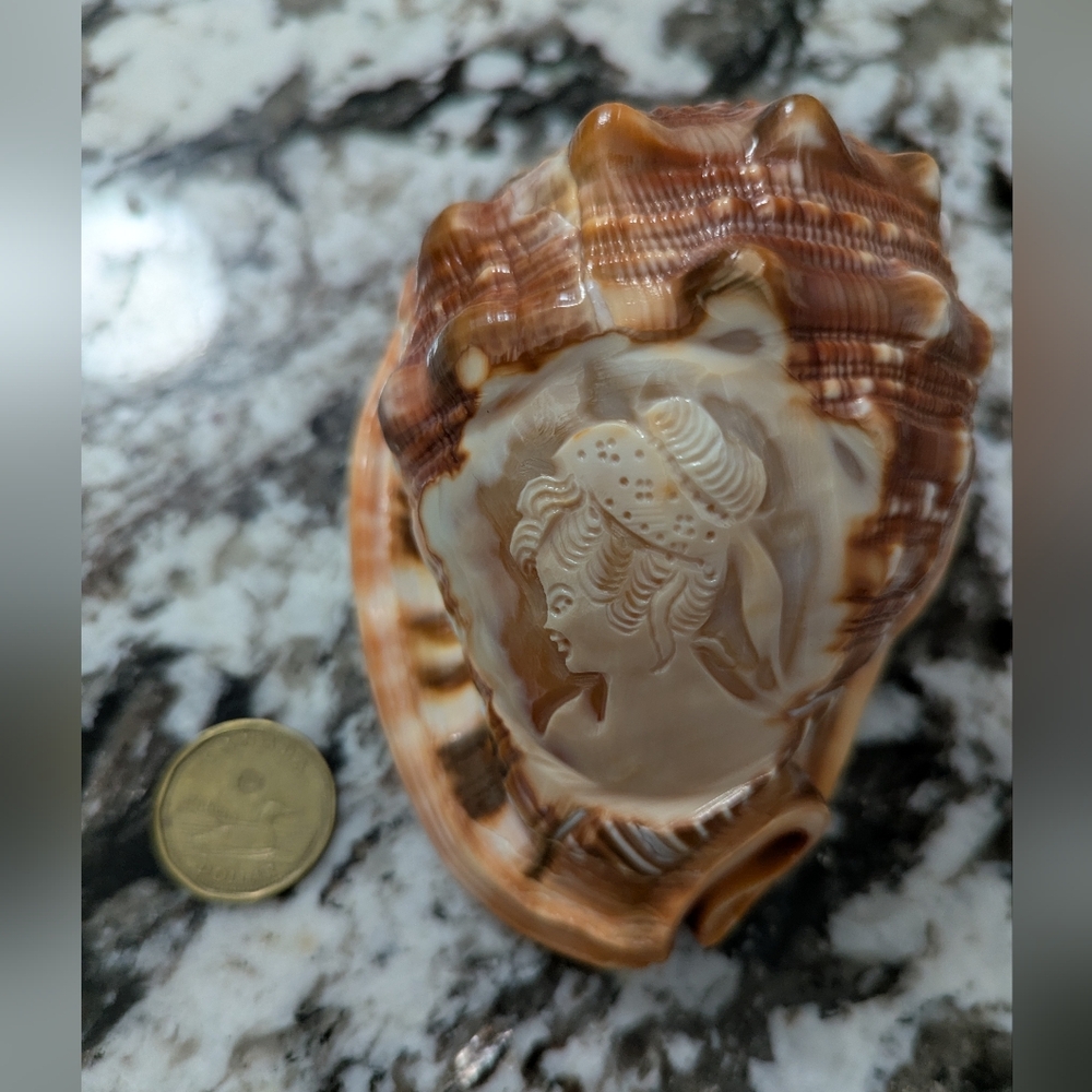 Italian Carved Shell Cameo